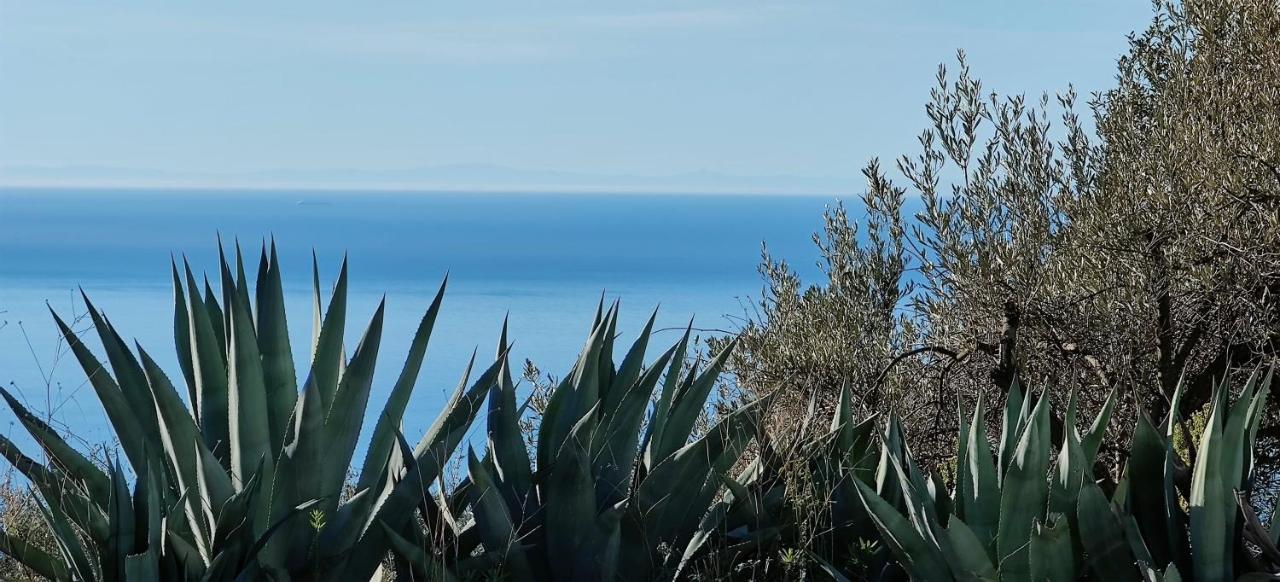 Campo Agave Luxury Tents Sayalonga Buitenkant foto
