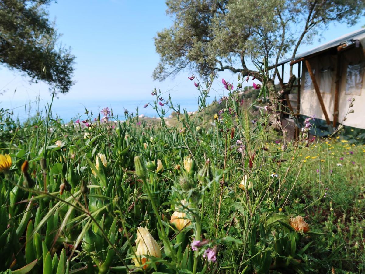 Campo Agave Luxury Tents Sayalonga Buitenkant foto