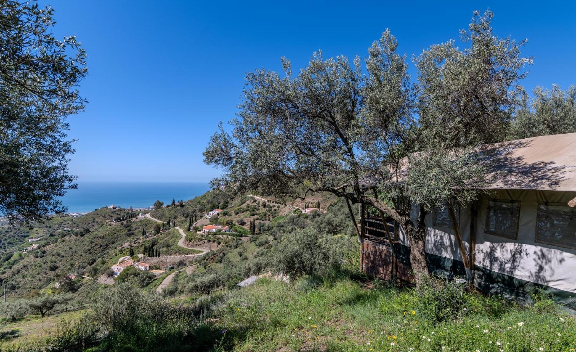 Campo Agave Luxury Tents Sayalonga Buitenkant foto